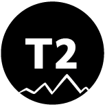 T2/T3-