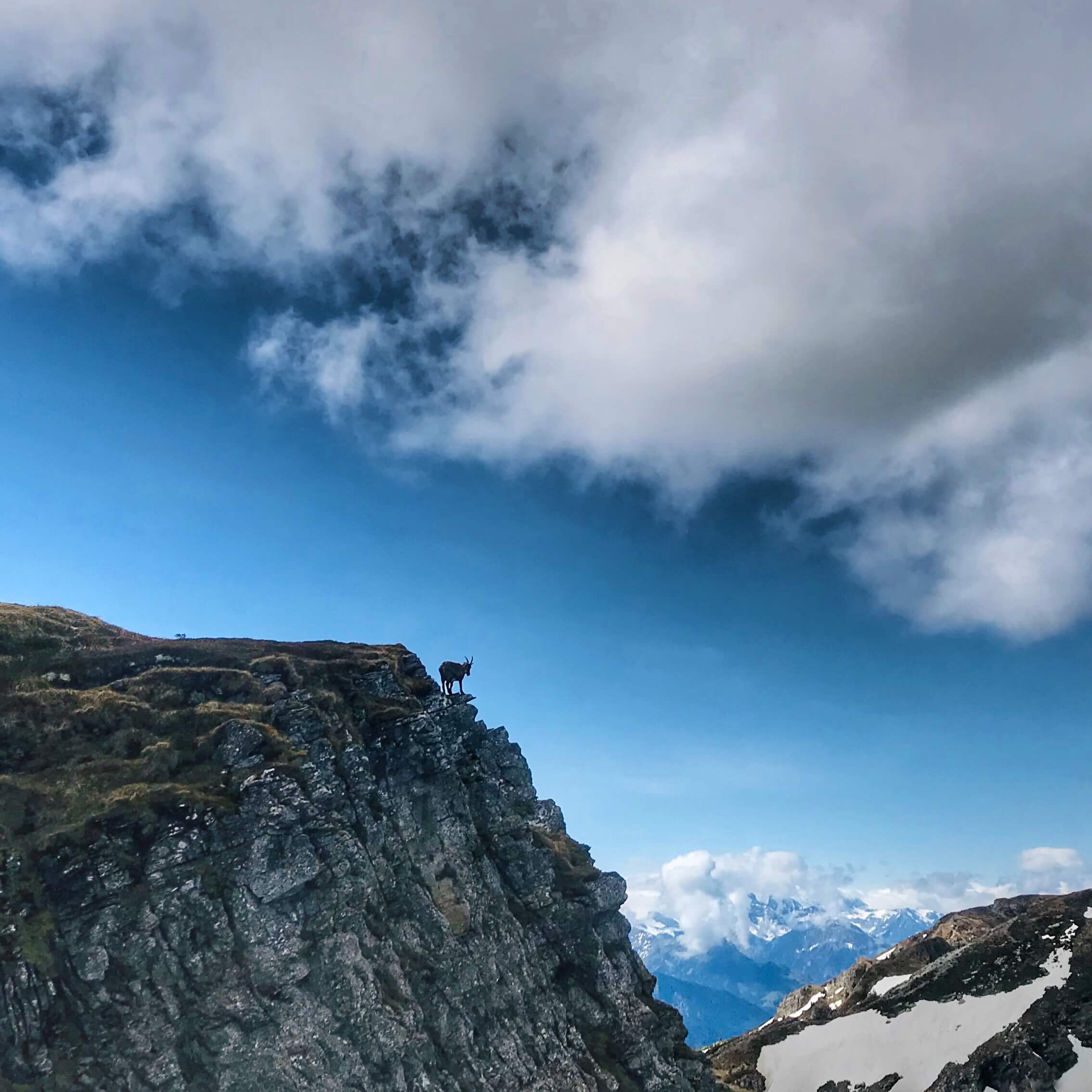 Impression Güggisgrat mit Rainer von simply.hiking