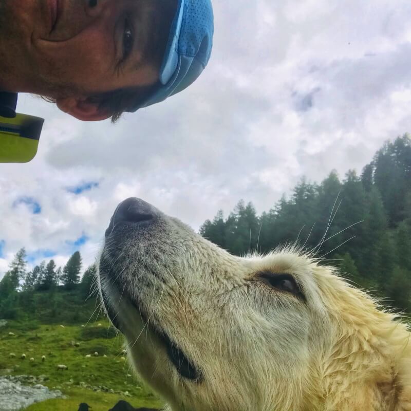 Herdenschutz und Wolfsexkursionen - Zu den ausgeschriebenen Ausbildungen  Zu den ausgeschriebenen Wanderungen der Sommersaison  Zu den ausgeschriebenen Wanderungen der Wintersaison  3000plus ● die höchsten Wandergipfel  Zu den Dauerbrenner  Zu den generellen Angeboten  Zur Alp Tschärmilonga ● Alphütte mit privatem Guide  Emailanfrage an Rainer von simply.hiking