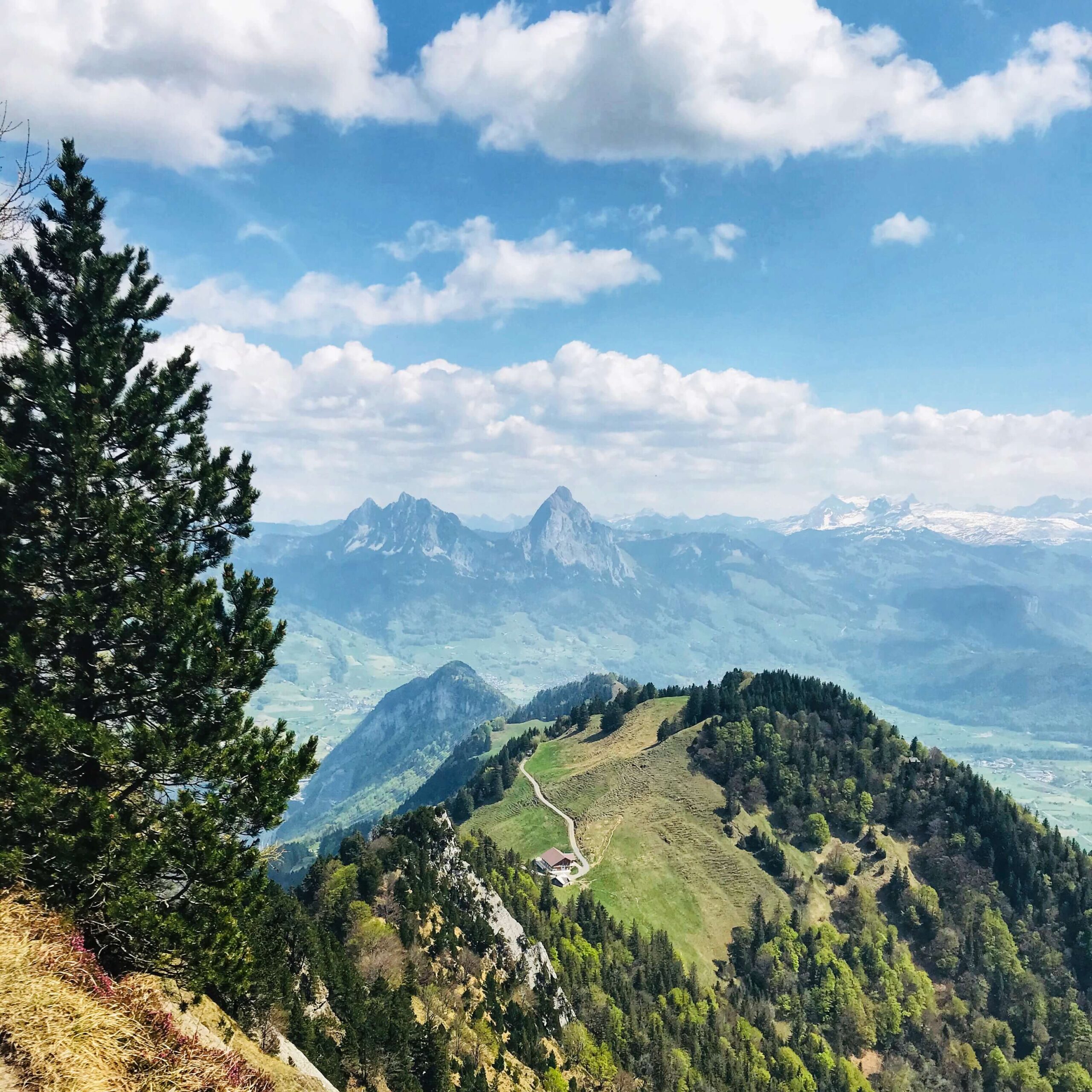 Rigi Hoflue Impressionen mit Rainer von simply.hiking