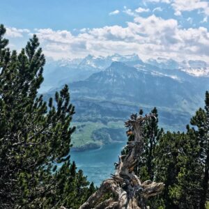 Rigi Hoflue Impressionen mit Rainer von simply.hiking