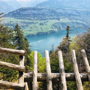Rigi Hoflue Impressionen mit Rainer von simply.hiking