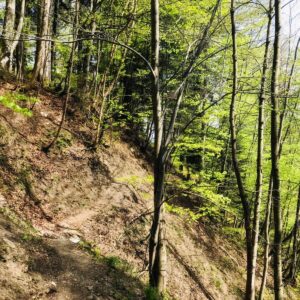 Rigi Hoflue Impressionen mit Rainer von simply.hiking