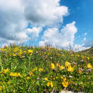 Vier Grate auf einen Streich: Ärtelegrat - Engstligengrat -Schwarzgrätli - Üschinengrat mit Rainer von simply.hiking