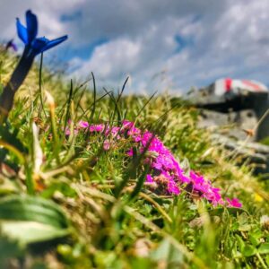 Vier Grate auf einen Streich: Ärtelegrat - Engstligengrat -Schwarzgrätli - Üschinengrat mit Rainer von simply.hiking
