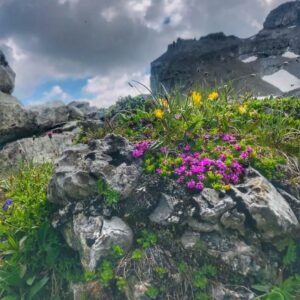 Vier Grate auf einen Streich: Ärtelegrat - Engstligengrat -Schwarzgrätli - Üschinengrat mit Rainer von simply.hiking