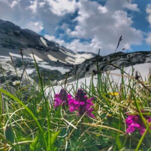 Vier Grate auf einen Streich: Ärtelegrat - Engstligengrat -Schwarzgrätli - Üschinengrat mit Rainer von simply.hiking