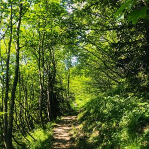 Die Gemsfreiheit am Fusse der Gemmi mit Rainer Reini von simply.hiking