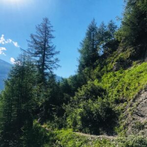 Die Gemsfreiheit am Fusse der Gemmi mit Rainer Reini von simply.hiking