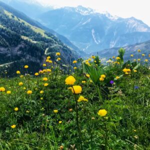 Die Gemsfreiheit am Fusse der Gemmi mit Rainer Reini von simply.hiking