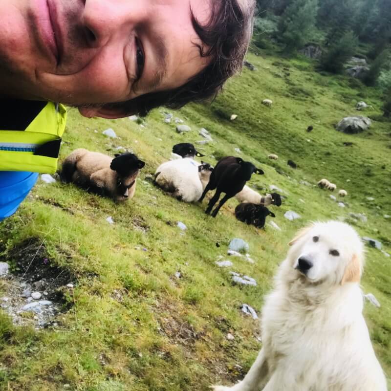 Umgang mit Herdenschutzhunden mit Rainer von simply.hiking