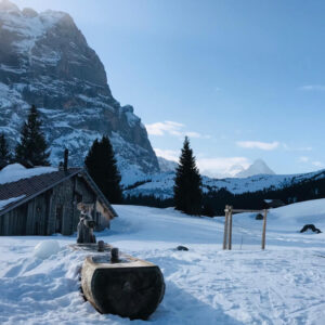Schnupper-Schneeschuhtour grosse Scheidegg mit Rainer von simply.hiking