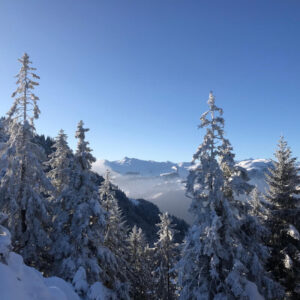 Schneeschuhwandern Mythenregion mit Rainer von simply.hiking