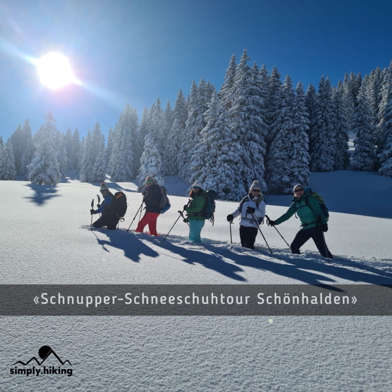 Schneeschuh-Schnupperkurse Ausbildungen und Kurse mit Rainer von simply.hiking