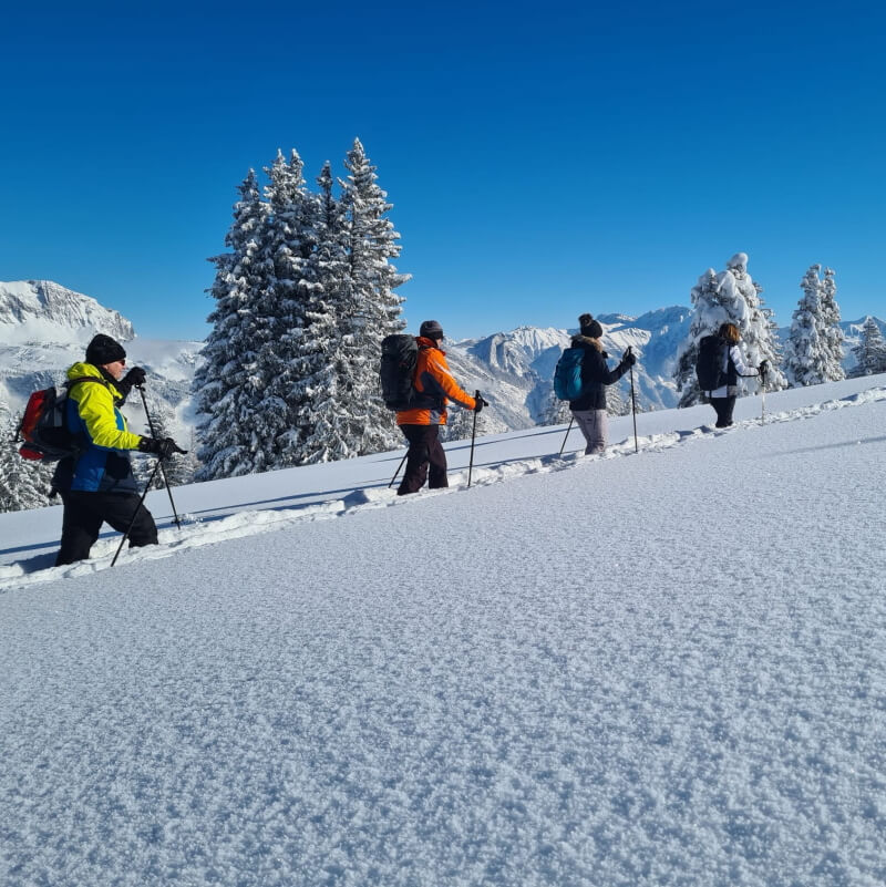 Schnupper Schneeschuhkurs Schönhalde mit Rainer von simply.hiking