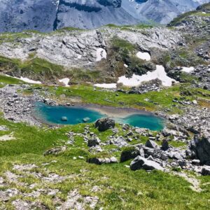 Vier Grate auf einen Streich: Ärtelegrat - Engstligengrat -Schwarzgrätli - Üschinengrat mit Rainer von simply.hiking