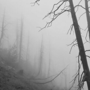 Wandertage Lötschenpass-Tschärmilonga mir Rainer von simply.hiking