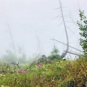 Wandertage Lötschenpass-Tschärmilonga mir Rainer von simply.hiking