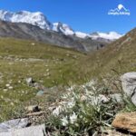 Zermatt Oberrothorn 3000plus und Kristallweg und Stellisee mit Rainer von simply.hiking
