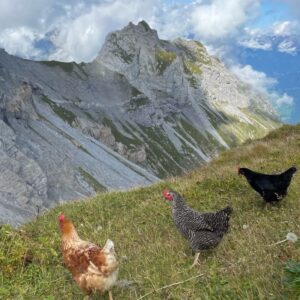 Via Glaralpina / Glarnerland Dein Wandererlebnis mit Rainer von simply.hiking