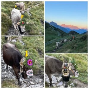 Via Glaralpina / Glarnerland Dein Wandererlebnis mit Rainer von simply.hiking
