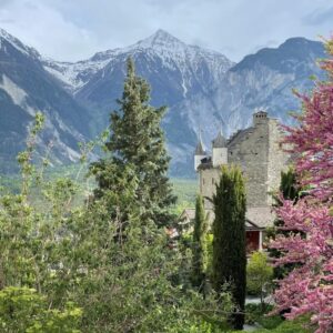 KulTour ● Wein ● Wandern Naturpark Pfyn-Finges 7./8. Mai 2022 Leuk-Stadt mit Rainer Reini von simply.hiking