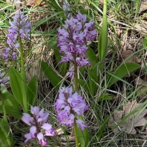 KulTour ● Wein ● Wandern Naturpark Pfyn-Finges 7./8. Mai 2022 Leuk-Stadt mit Rainer Reini von simply.hiking