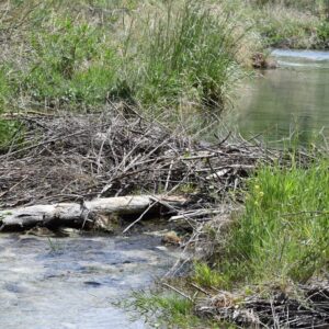 KulTour ● Wein ● Wandern Naturpark Pfyn-Finges 7./8. Mai 2022 Leuk-Stadt mit Rainer Reini von simply.hiking