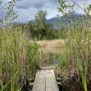 KulTour ● Wein ● Wandern Naturpark Pfyn-Finges 7./8. Mai 2022 Leuk-Stadt mit Rainer Reini von simply.hiking