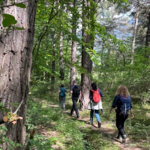 KulTour ● Wein ● Wandern Naturpark Pfyn-Finges 7./8. Mai 2022 Leuk-Stadt mit Rainer Reini von simply.hiking