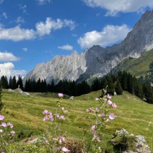 ViaAlpina E10-E11 Meiringen-Grindelwald-Lauterbrunnen 1.-2.8.2022 mit Reini Rainer von simply.hiking