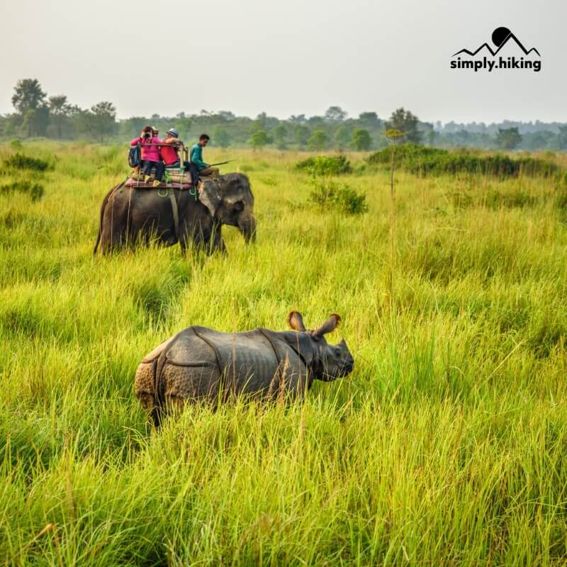 Chitwan National Park Nepal mit Reini von simply.hiking