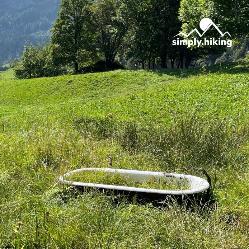 Gemsfreiheit am Fusse der Gemmi mit Reini von simply.hiking