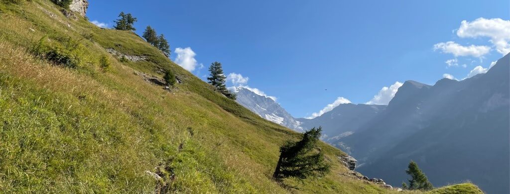 Gemsfreiheit am Fusse der Gemmi mit Reini von simply.hiking