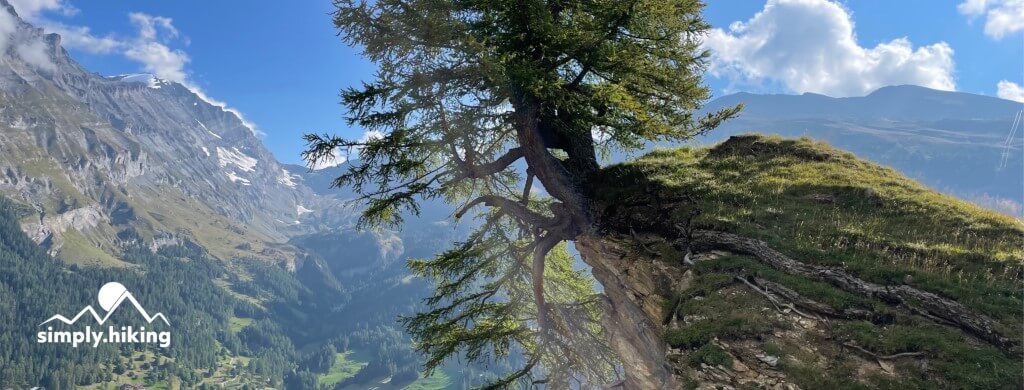Gemsfreiheit am Fusse der Gemmi mit Reini von simply.hiking