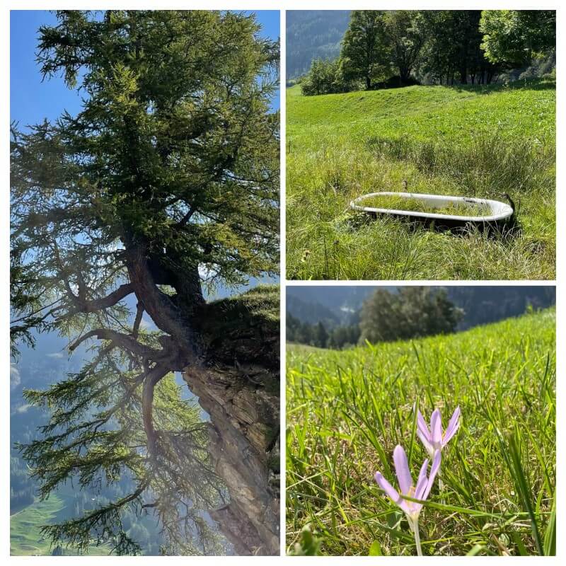Gemsfreiheit am Fusse der Gemmi mit Reini von simply.hiking