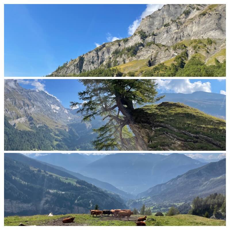 Gemsfreiheit am Fusse der Gemmi mit Reini von simply.hiking