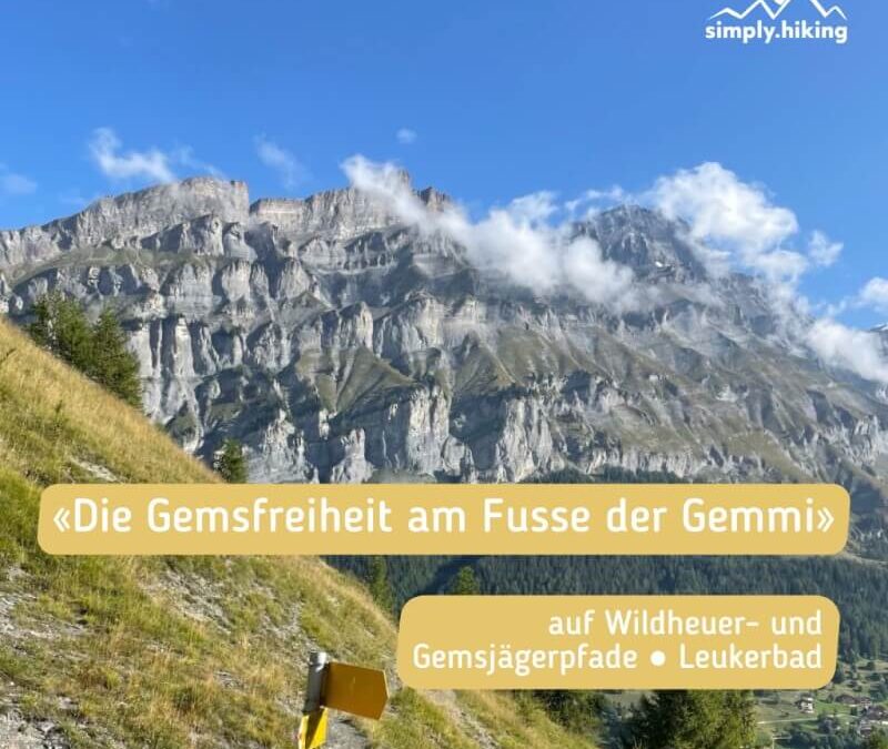 Gemsfreiheit am Fusse der Gemmi mit Reini von simply.hiking