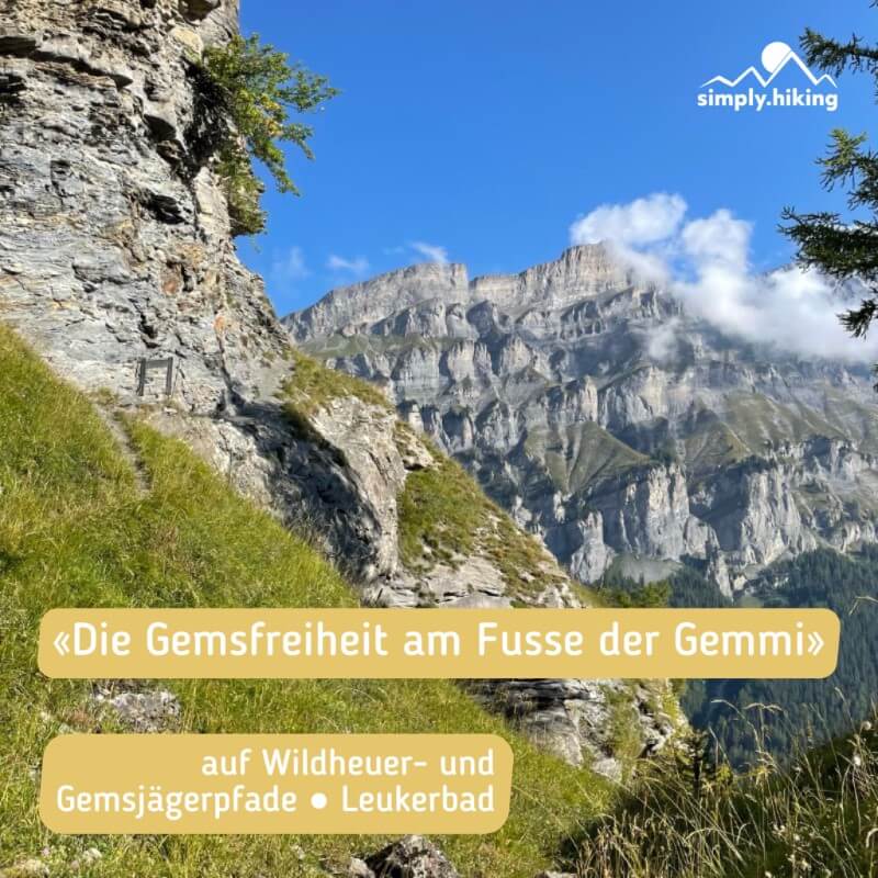Gemsfreiheit am Fusse der Gemmi mit Reini von simply.hiking