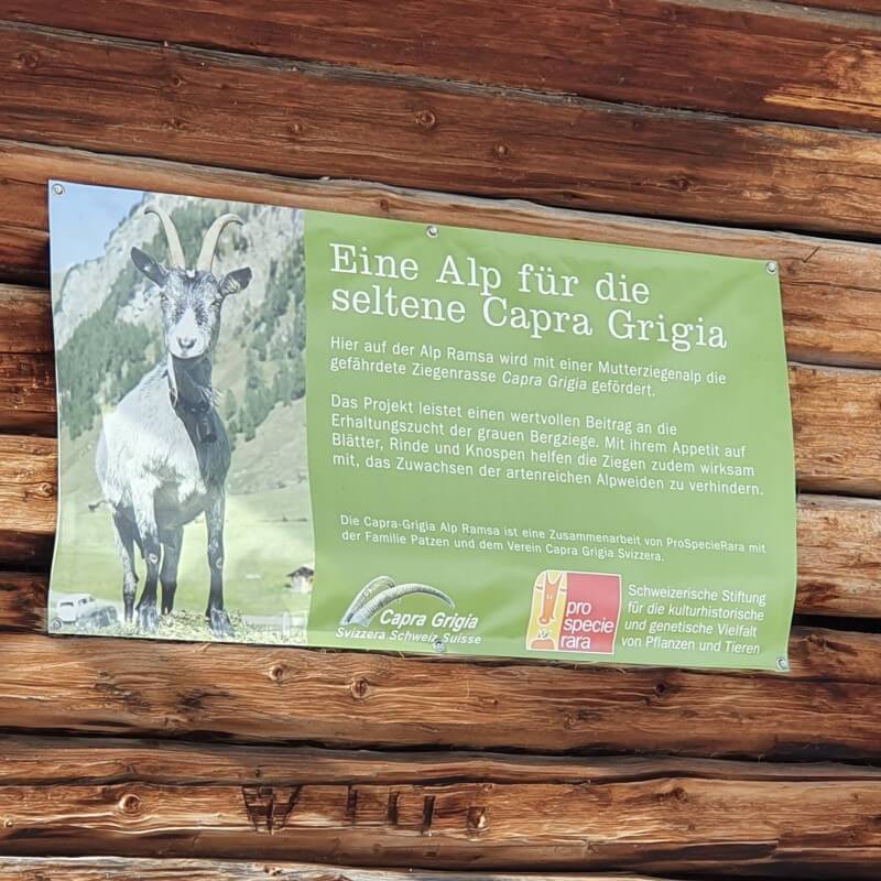 Wir Walser Wander- und Kulturtage 2024 Avers / Juf mit Reini von simply.hiking zu Besuch in der höchsten, ganzjährig bewohnten Siedlung des Alpenraums