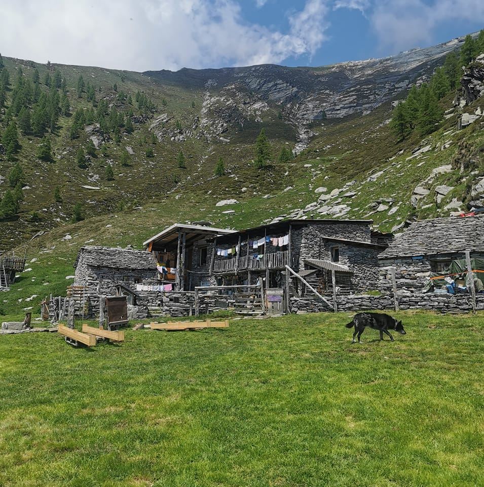 Alp da Nimi ● Valle Maggia TI Alpinwanderungen T4 für schwindelfreie und Genussmenschen mit Reini von simply.hiking VAVM