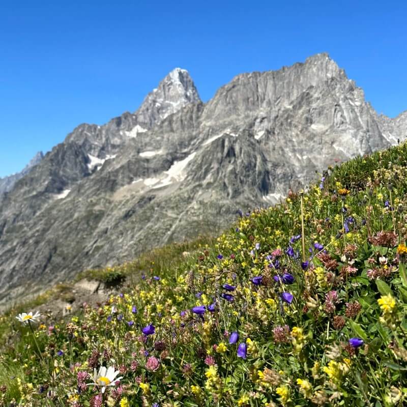 Südalpen Courmayeur Rifugio Bonatti Mont-Blanc TMB Aostatal Chamonix mit Reini von simply.hiking