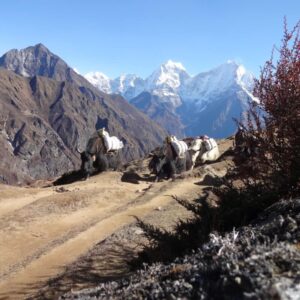 Everest- Cho Oyu-Base Camp Trekking Nepal mit Reini von simply.hiking