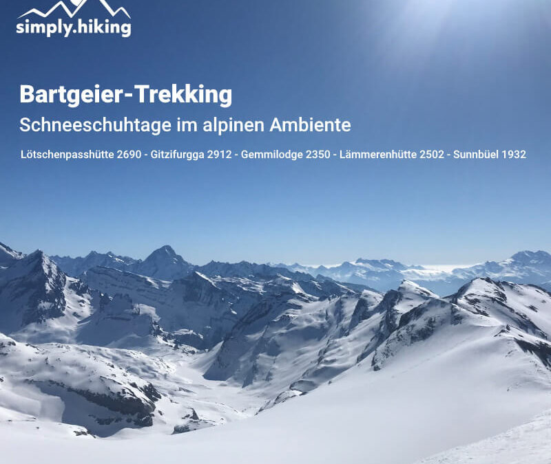 Bartgeier-Trekking - Schneeschuhtage im alpinen Ambiente mit Reini von simply.hiking Lötschenpasshütte 2690 - Gitzifurgga 2912 - Gemmilodge 2350 - Lämmerenhütte 2502 - Sunnbüel 1932