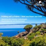 Frühling auf La Palma, Wandern Kanarische Inseln mit Reini von simply.hiking
