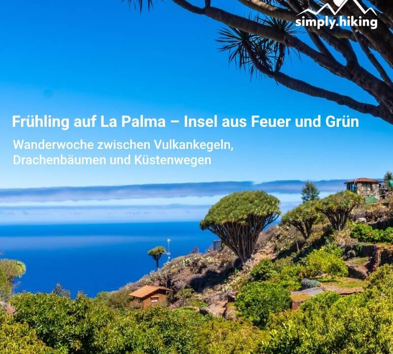 Frühling auf La Palma, Wandern Kanarische Inseln mit Reini von simply.hiking
