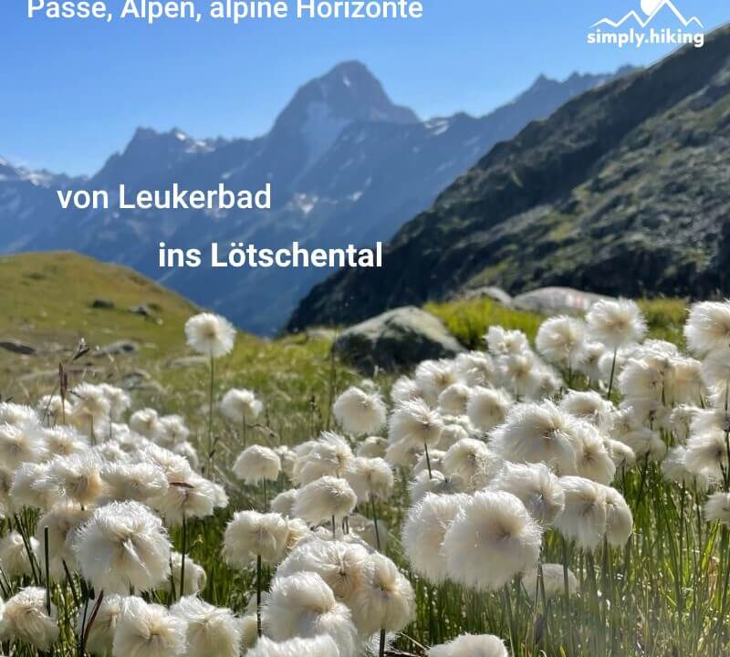 Pässe, Alpen, alpine Horizonte - von Leukerbad ins Lötschental mit Reini von simply.hiking