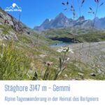 Stäghore 3000PLUS Naturpark Pfyn-Finges mit Reini von simply.hiking