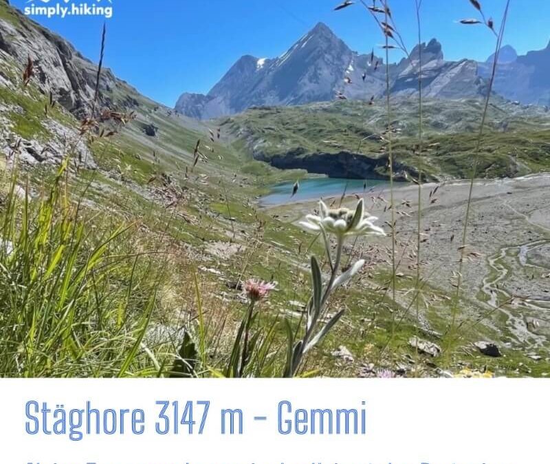 Stäghore 3000PLUS Naturpark Pfyn-Finges mit Reini von simply.hiking