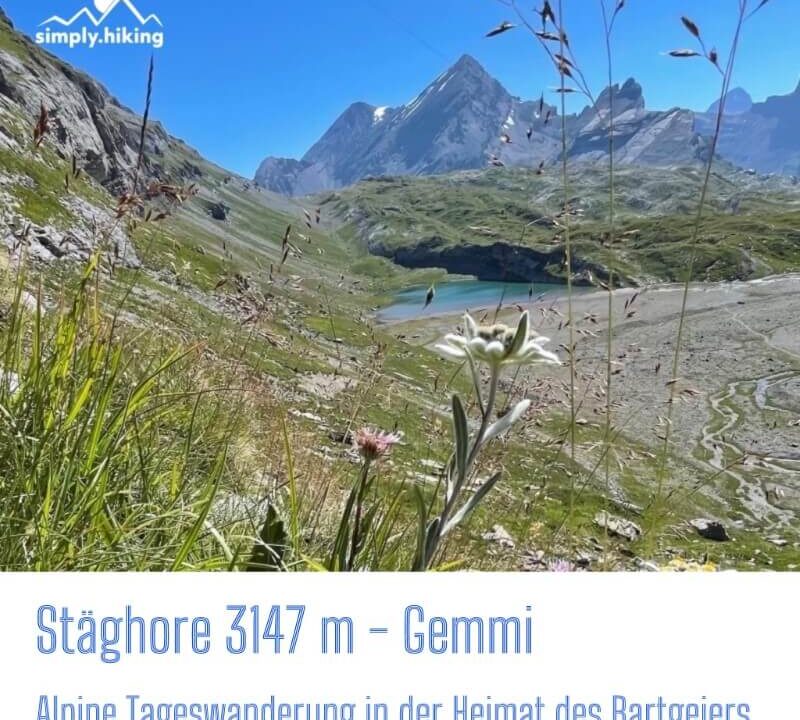 Stäghore 3000PLUS Naturpark Pfyn-Finges mit Reini von simply.hiking
